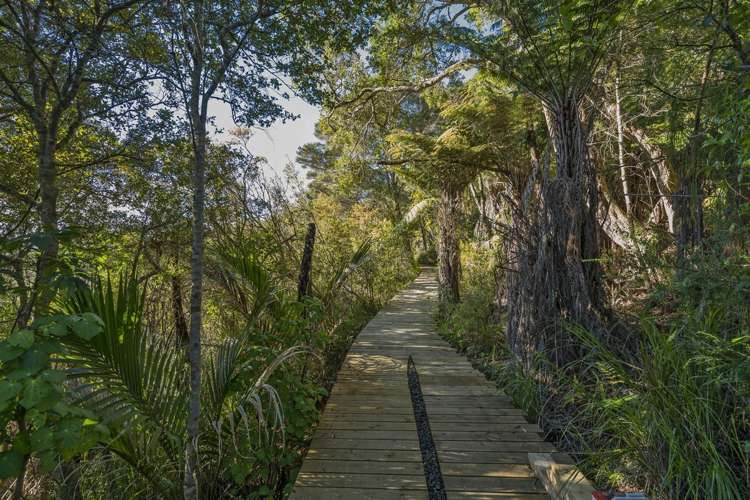 295 Kopaki Point Cooks Beach_5