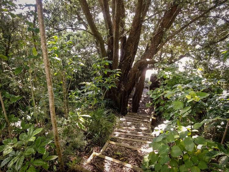 87 Beach Road Collingwood_8