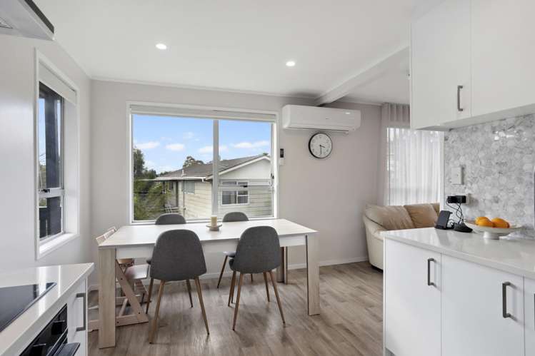 21 Leo Street Glen Eden_6