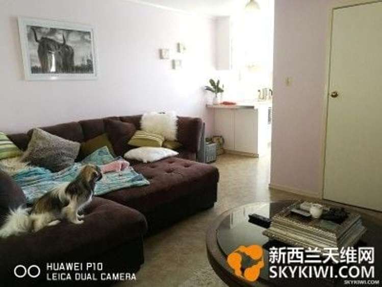 23a Malone Road Mount Wellington_2