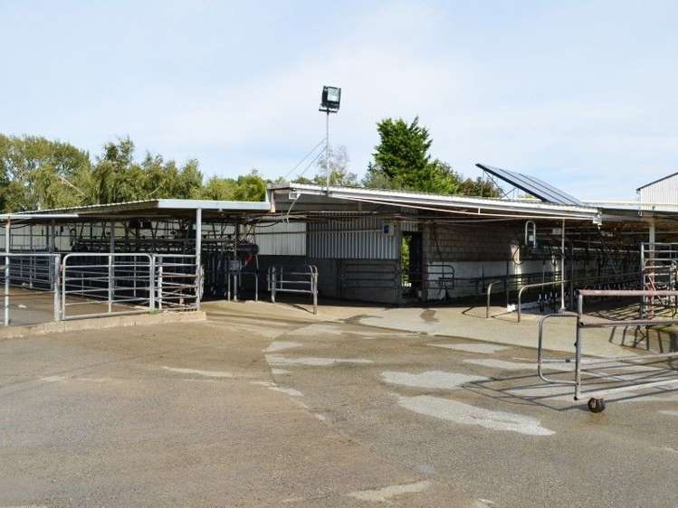 233a Papawai Road Greytown_17