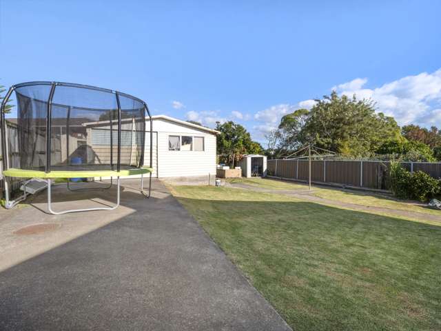 56 Webster Avenue Mount Roskill_1