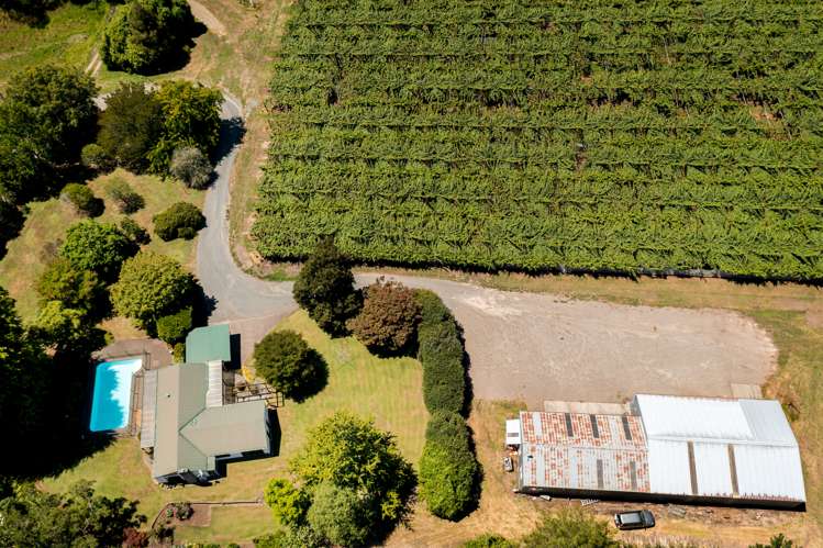 881b Te Matai Road Te Ranga_11