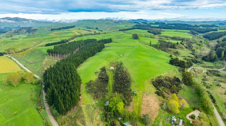 1241 Blythe Road Domett_16