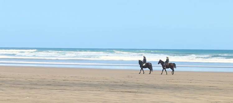 57a Springs Road Parakai_19