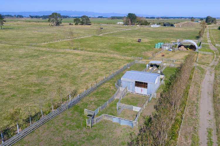 163 Downs Road Himatangi_8