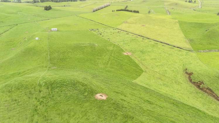 348 Ratapiko Road Ratapiko_5