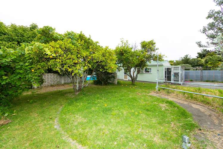 38 Wycliffe Street Onekawa_5