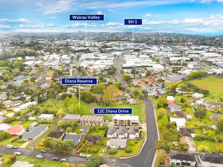 12C Diana Drive Glenfield_23