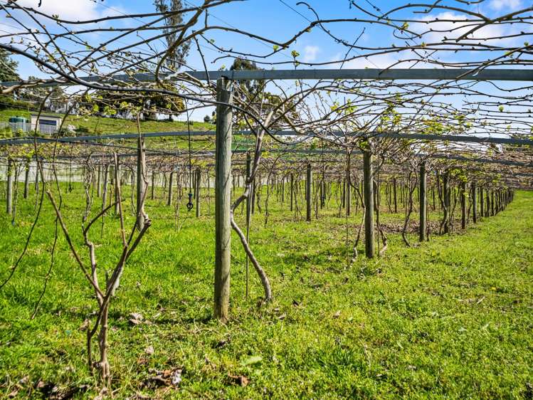 84B Kaiwha Road Welcome Bay_33