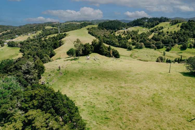 48 Bedlington Street Whau Valley_26