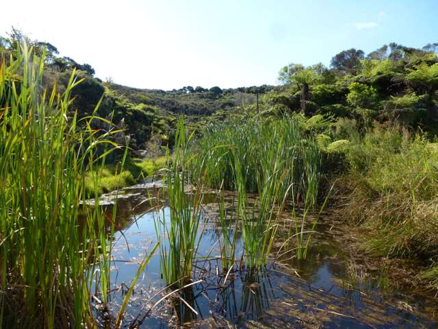 Wharau Road Kerikeri_1