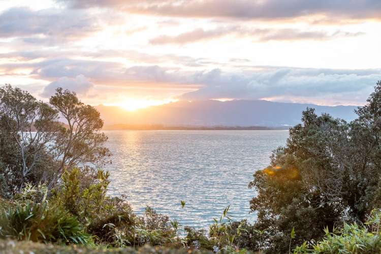 16 Walnut Grove Omokoroa_20