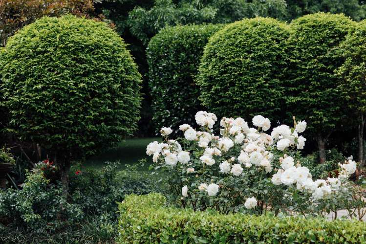 1551 Great South Road Ramarama_40