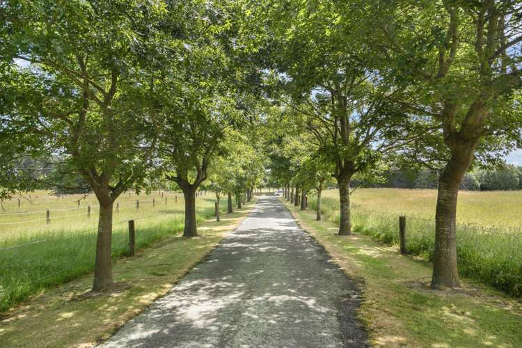 90 Neave Road West Melton_35