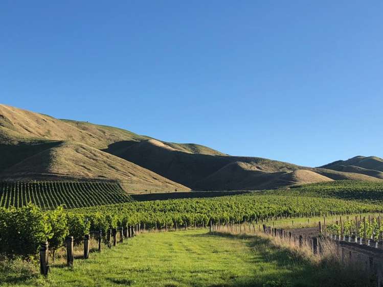 149 Wrekin Road Fairhall_1