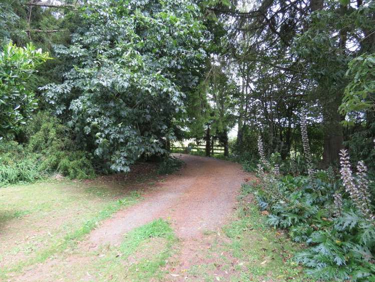 1/195 Chamberlain Road Te Awamutu_21