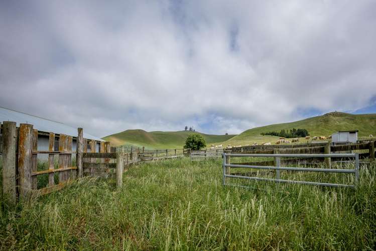 Address withheld Windsor_15