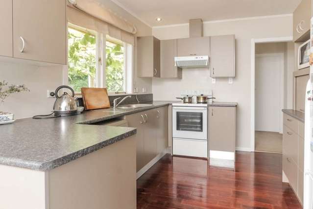 22 Battersby Avenue Mt Roskill_3