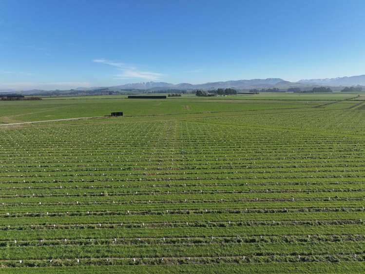 77 Bleak House Road Darfield_20