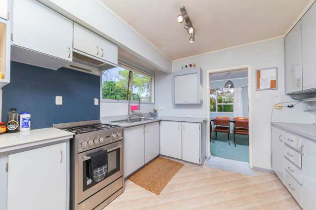 46 Finnerty Avenue Howick_4