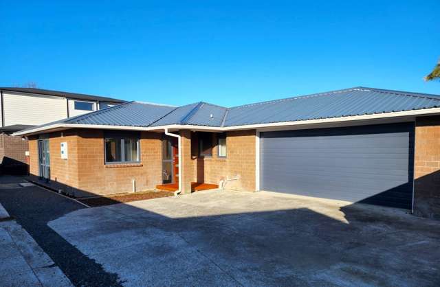 23 Don Buck Road Massey_2