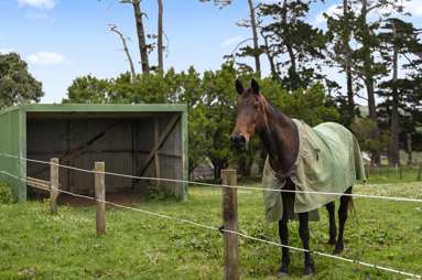 463D Wairamarama Onewhero Road_2