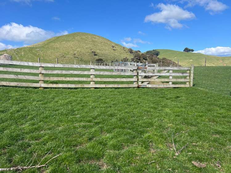 463 Waihi Valley Rd Dannevirke_8