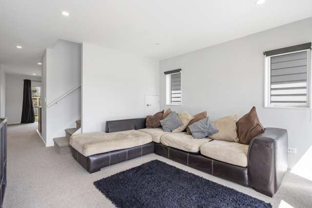 47 Divide Loop Takanini_4