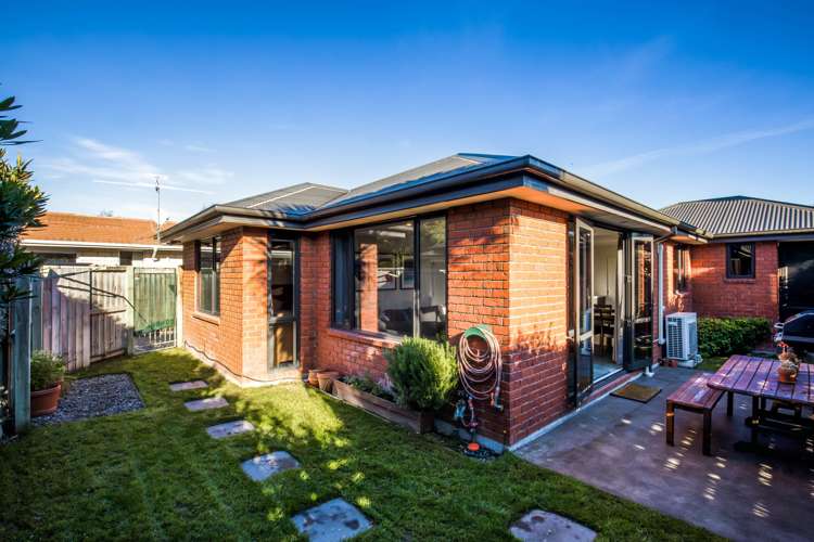 27b Earl Street Hillsborough_11