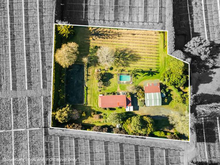 2374 State Highway 10 Kerikeri_35