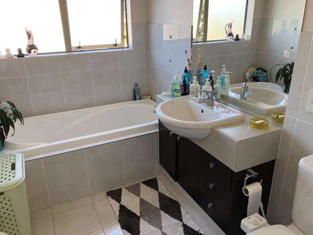 17 Plantation Avenue Flat Bush_3