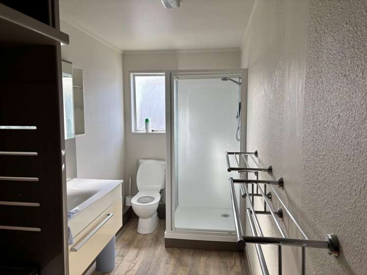 102 Birch Avenue Judea_7