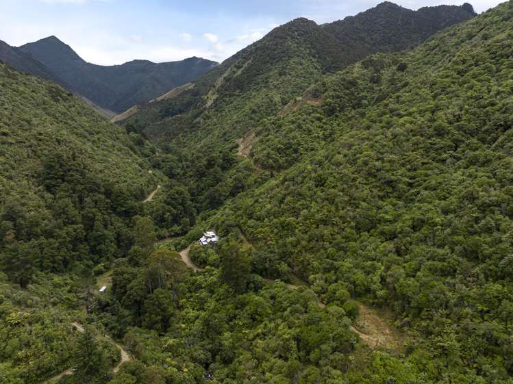 144 Graham Valley North Branch Road Motueka Valley_29
