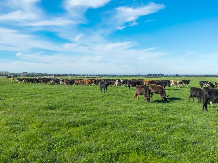 2058 Ashburton Staveley Road Ashburton Forks_6