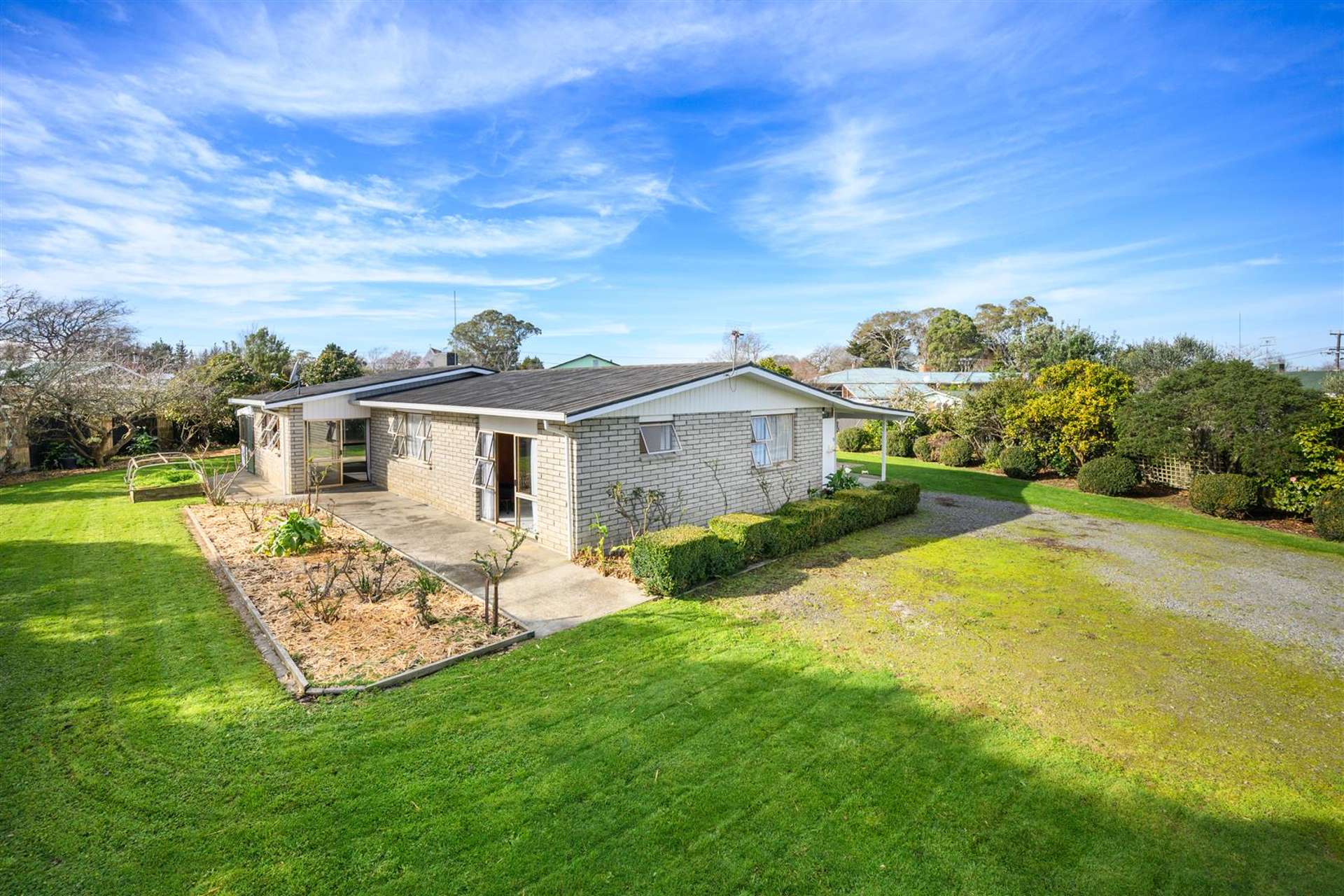 6 Flower Street Bulls_0