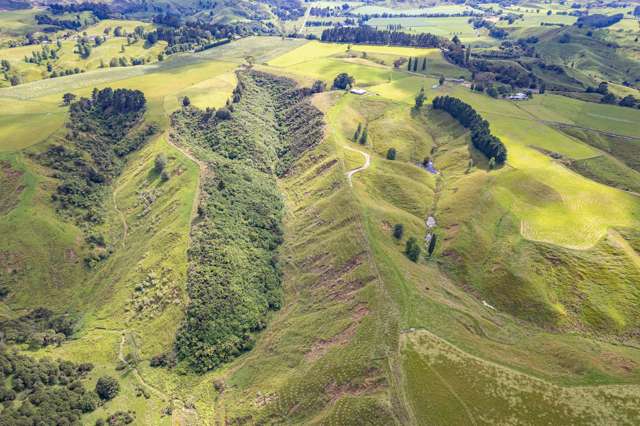 505A Kauangaroa Road Fordell_1