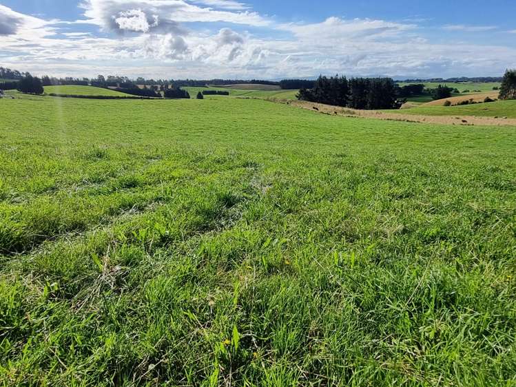 2000 Hillfoot Road Warepa_9