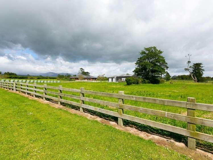 218 Dudley Road Inglewood_9