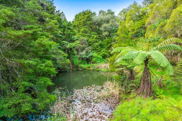 Lot 1 Whitmore Road Matakana_7