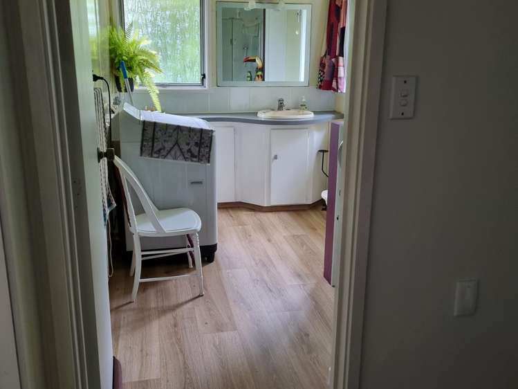280 Nikau Road Hector_19