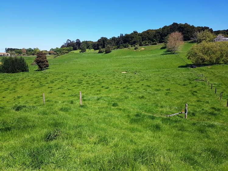 86 Mairoa Road Piopio_9