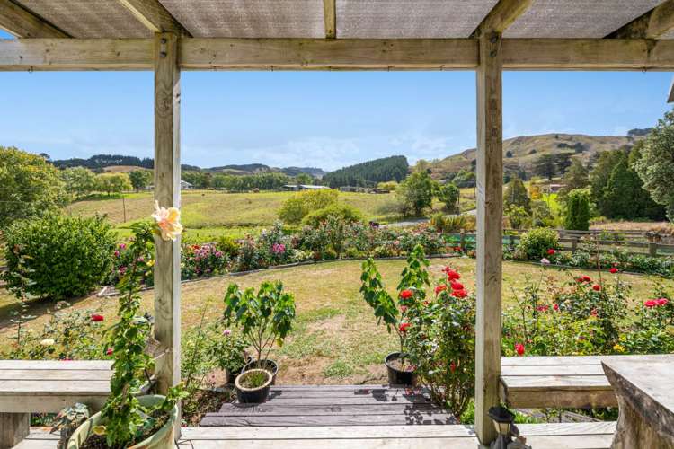 1078 West Coast Road Warkworth_16