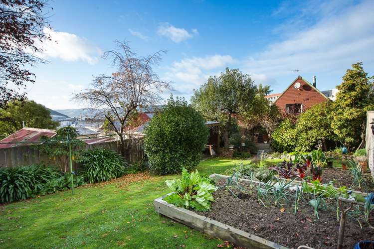 101 York Place Dunedin Central_15