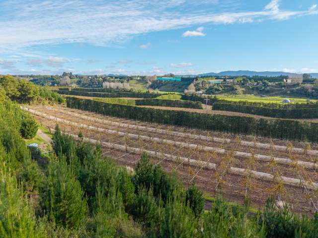 102A&B Huse Lane Rangiuru_3