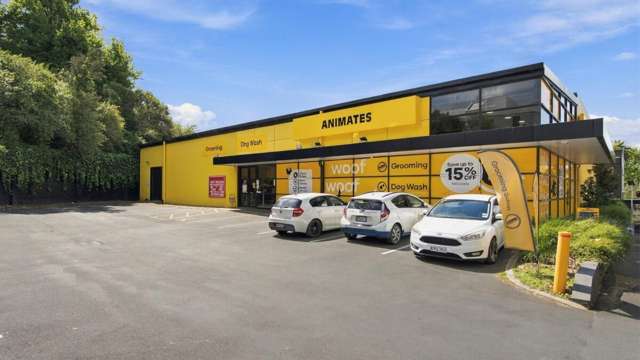 7 Anzac Parade Hamilton City Central_1