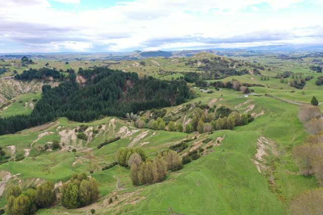 643 Glengarry Road Puketapu_2