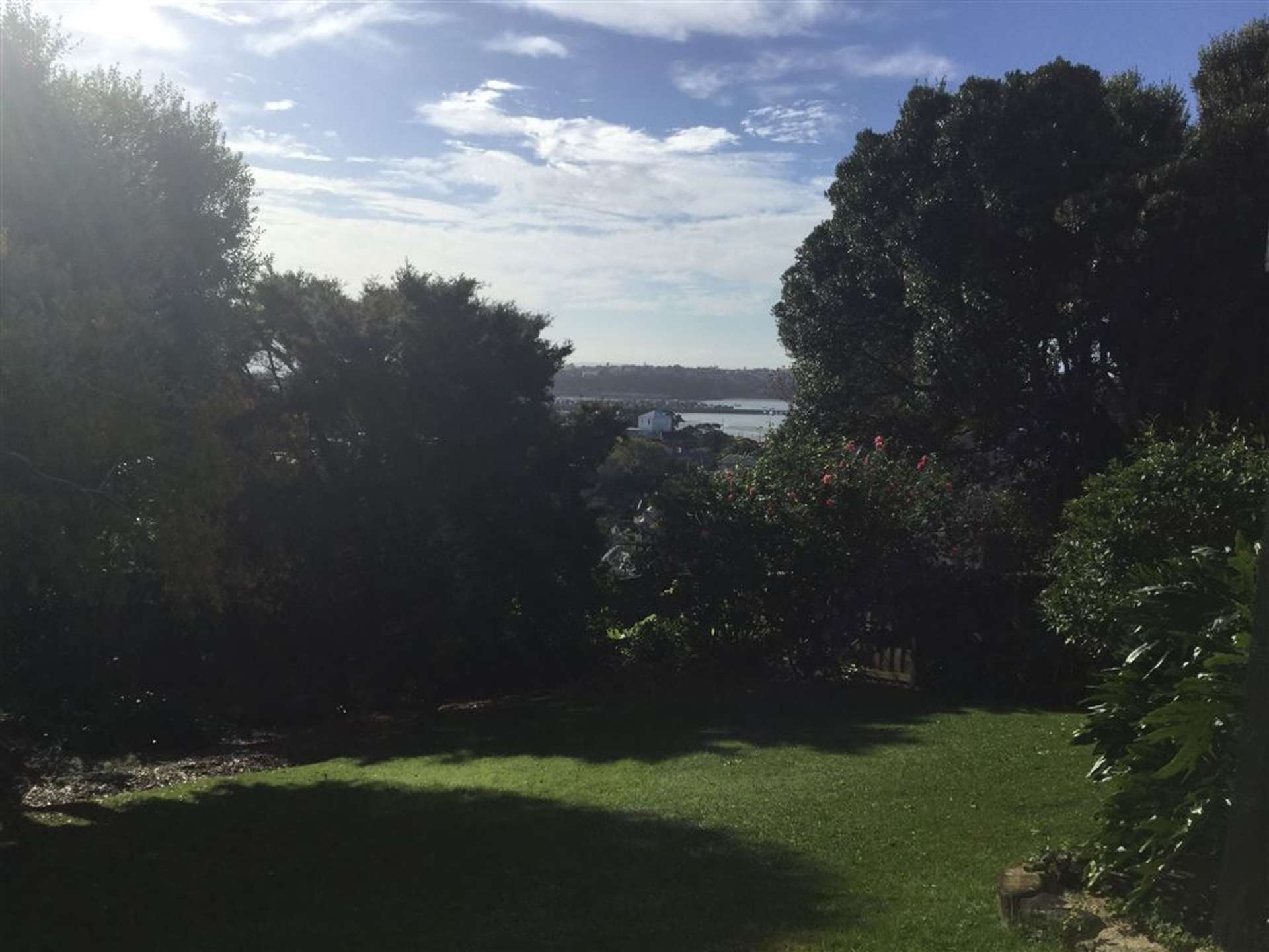 2/20 Brighton Road Parnell_0