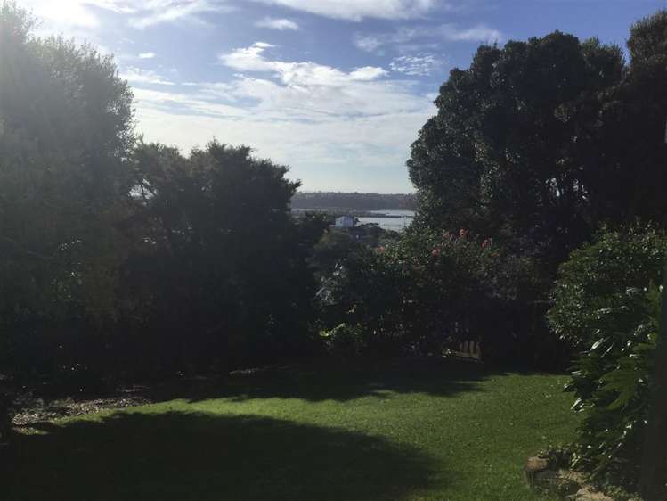 2/20 Brighton Road Parnell_0