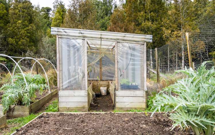 118 Mcphail Road Oropi_21